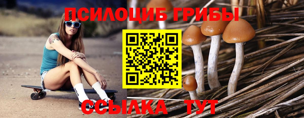 Чехов  Псилоцибиновые грибы Psilocybe  Вход с VPN 